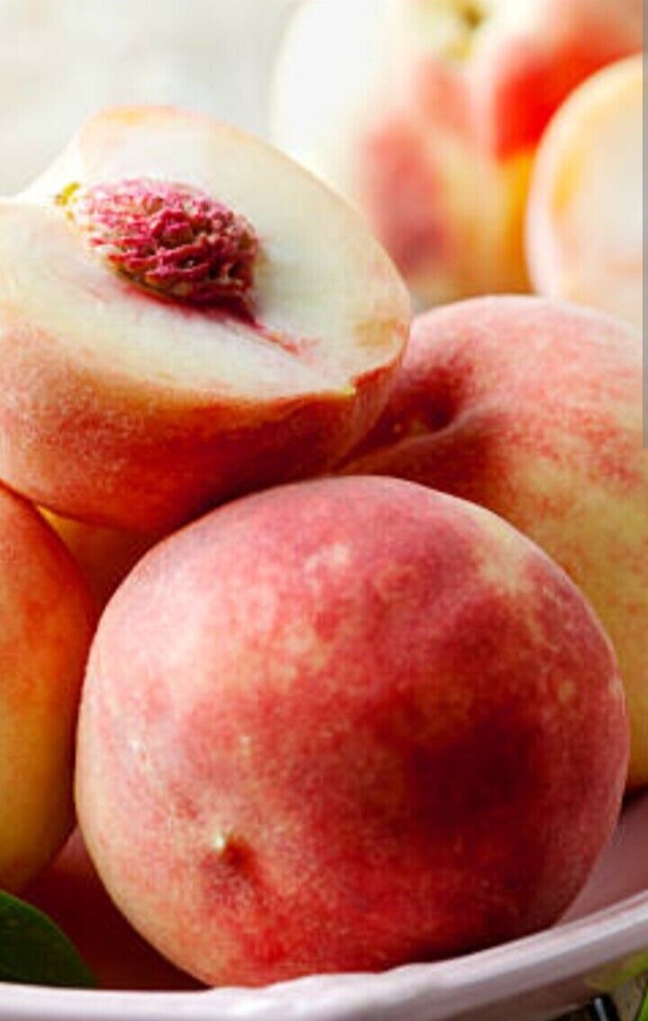 China Pearl White Flesh Peach 有机白肉桃 Organic Sweet Juicy Fruit – Ready To Grow