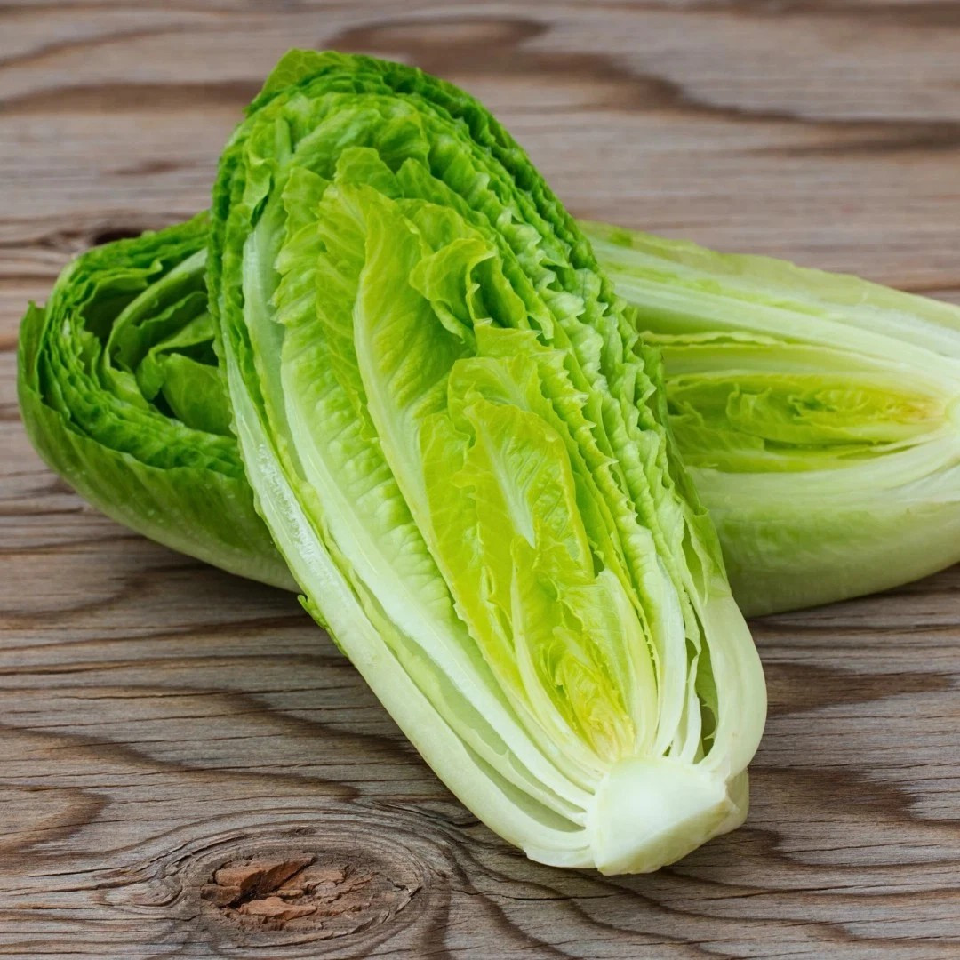 1000+ Giant Caesar Lettuce Seeds — Romaine ——— Heirloom