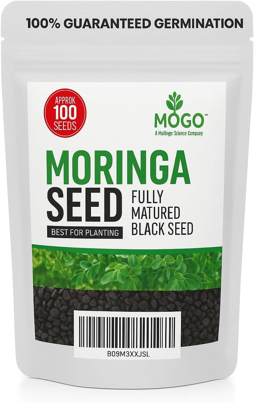 100 Moringa Seeds Approx | Moringa Seeds for Planting | Edible, Excellent Germin