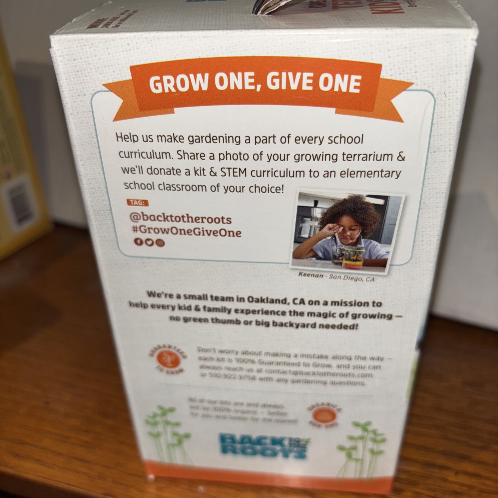 Organic Kids Terrarium Grow Kit -Easy-To-Use DIY Set for All Ages Small Open Box