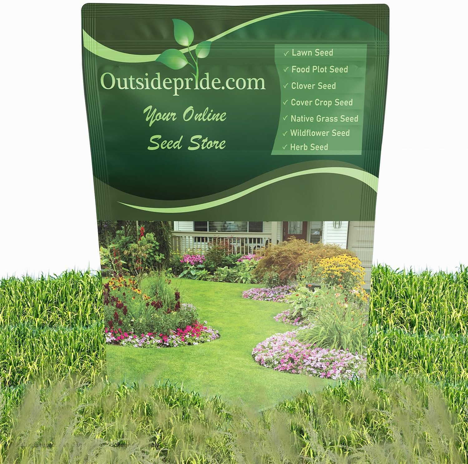 Switchgrass Seed – 1 Lb. Perennial Hardy, Drought & Flood Tolerant Native Grass