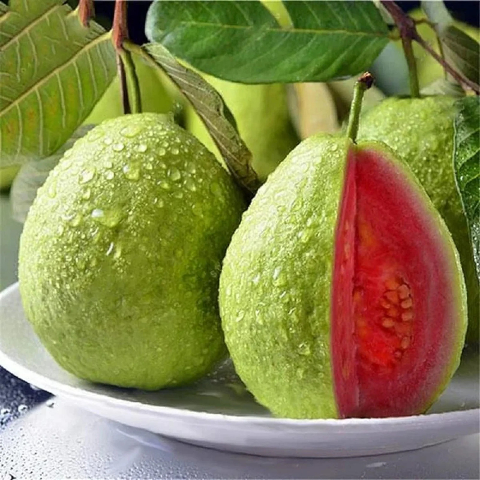 100 Tropical Red Guava Seeds for Planting – Exotic & Delicious Fruit Seeds for