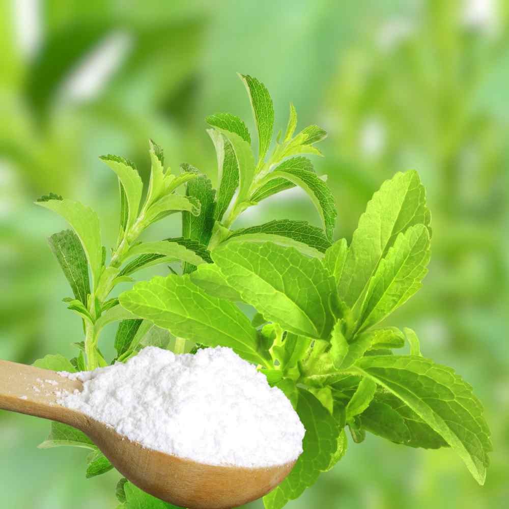 50 Seeds Stevia Seed – Sweet Leaf Herb Seeds