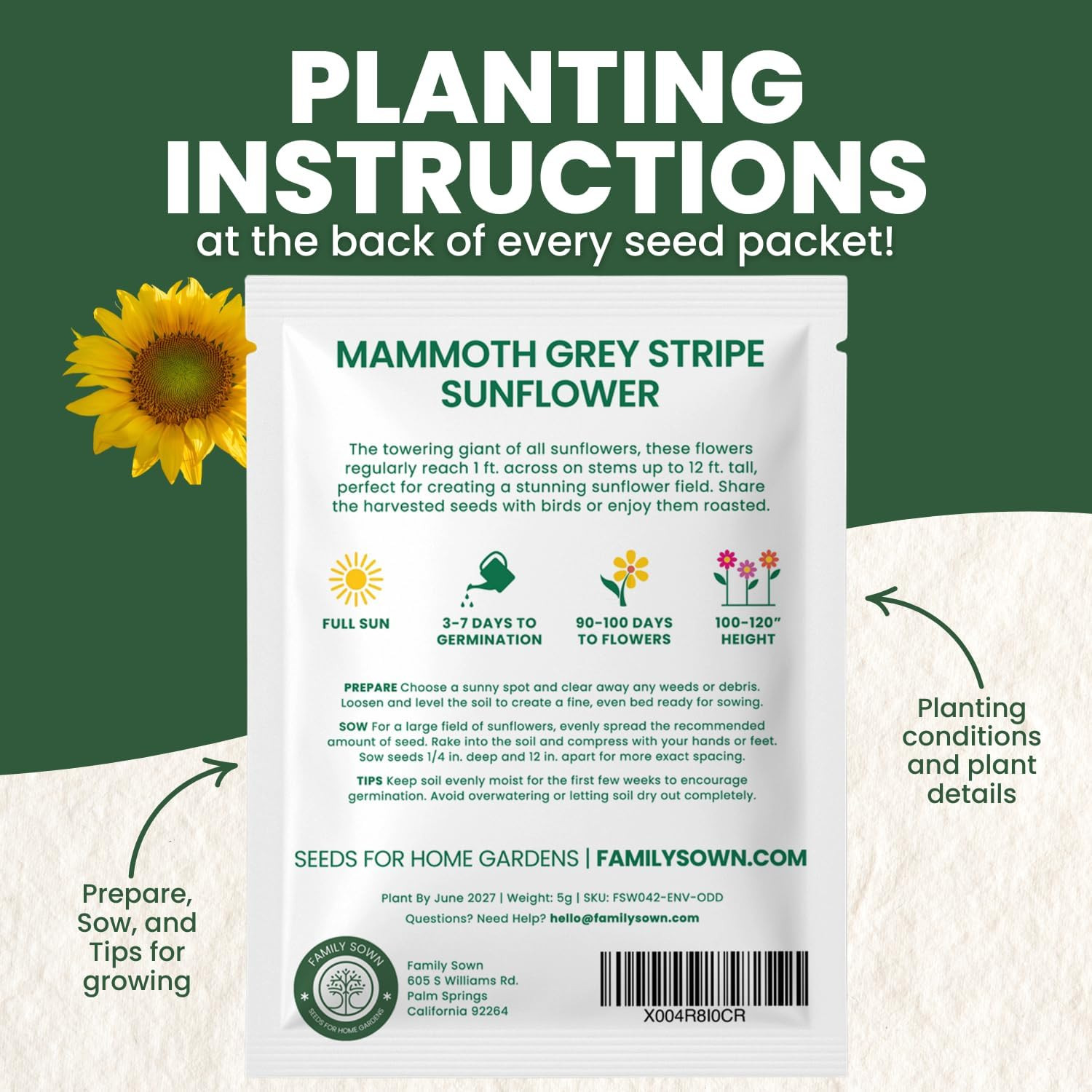 Large Grey Stripe Sunflower – 50 Seeds for Planting – 5 Gram Packet – 2026 Seaso
