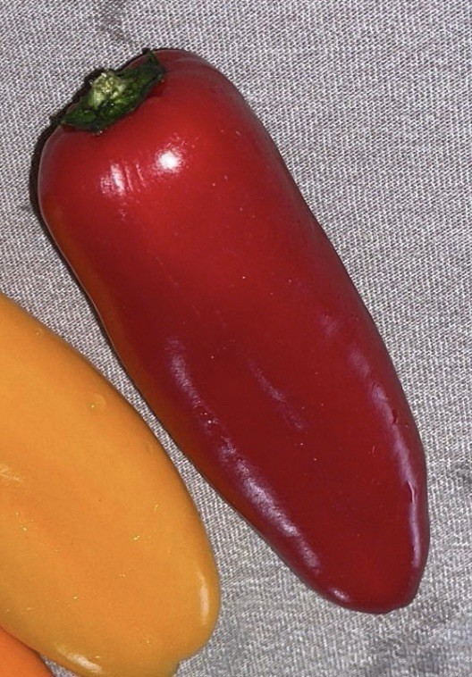 RED SWEET SNACK PEPPER SEEDS PACK OF 25+ FREE SHIPPING