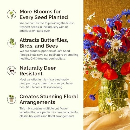 Northeast Wildflower Seed Mix – 1 lb, 480,000+ Seeds, Attracts Pollinators, Zone