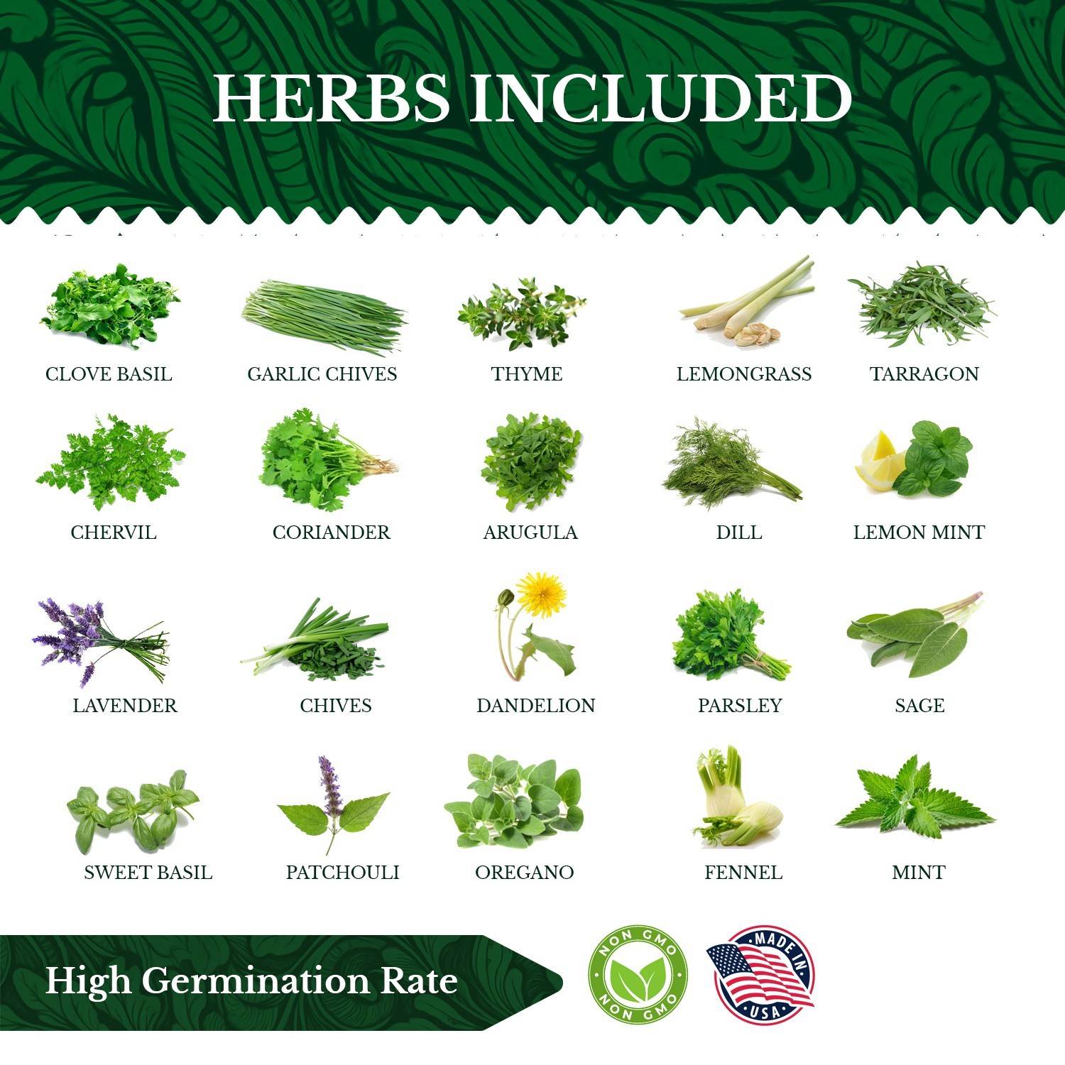 20 HERB Seeds Variety Pack Complete Grow Kit Culinary Herbs Indoor Outdoors Seed