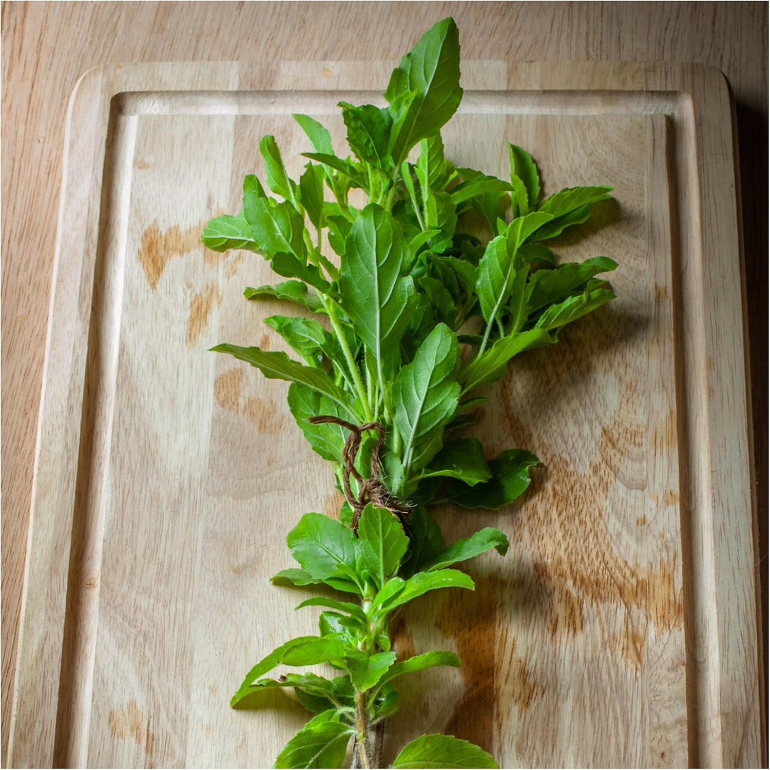 Seed Needs Holy Basil Tulsi Seeds for Planting – Non-Gmo Heirloom & Untreated Me