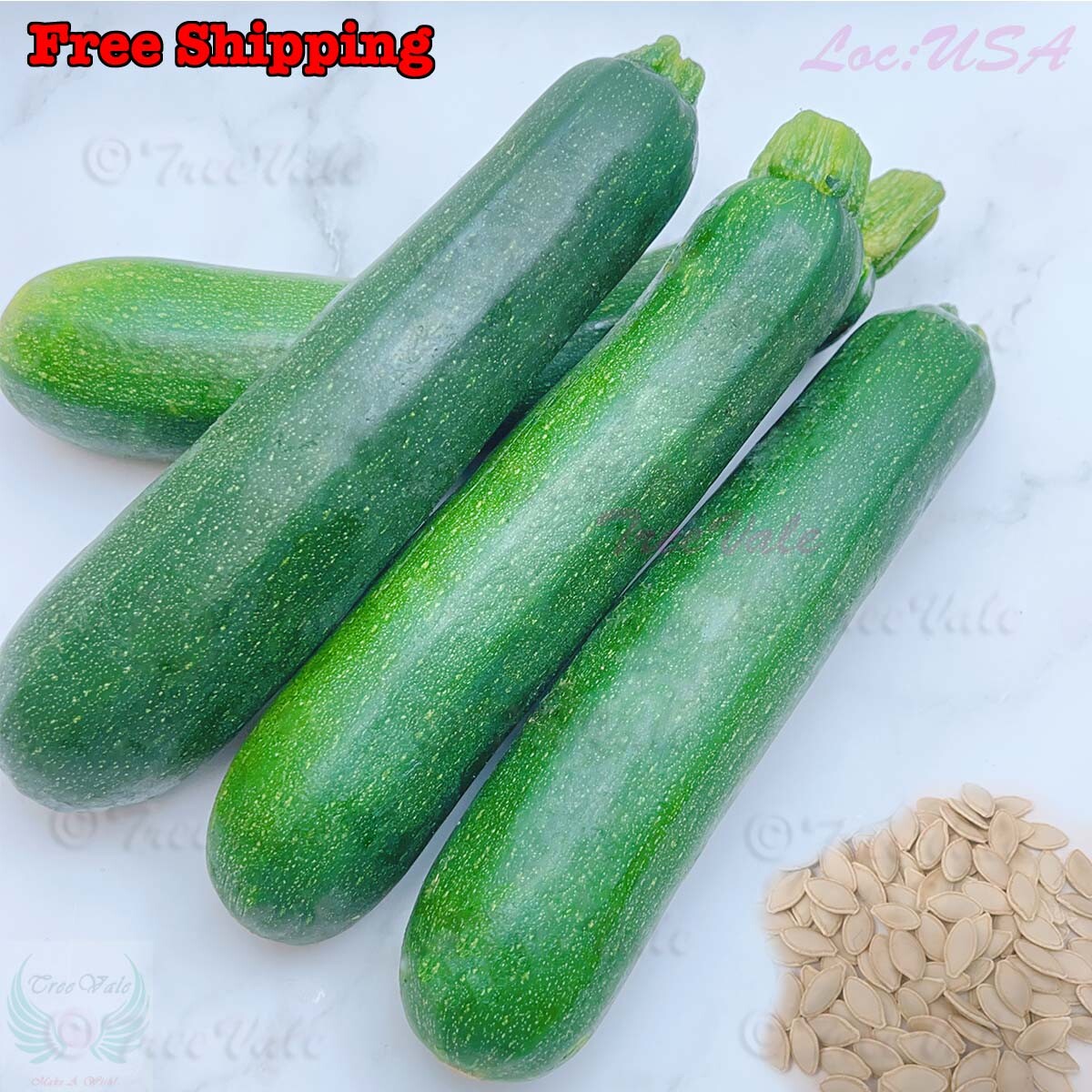 Black Beauty Zucchini Seeds | Organic Vegetable Garden NON-GMO HEIRLOOM