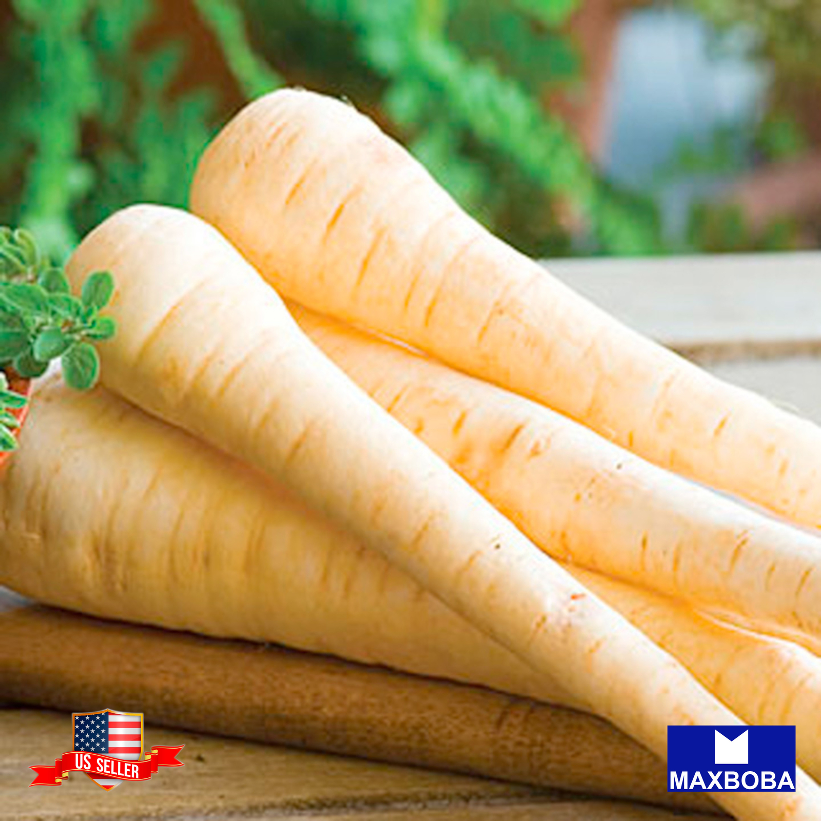 Parsnip Seeds All American Non-GMO Heirloom