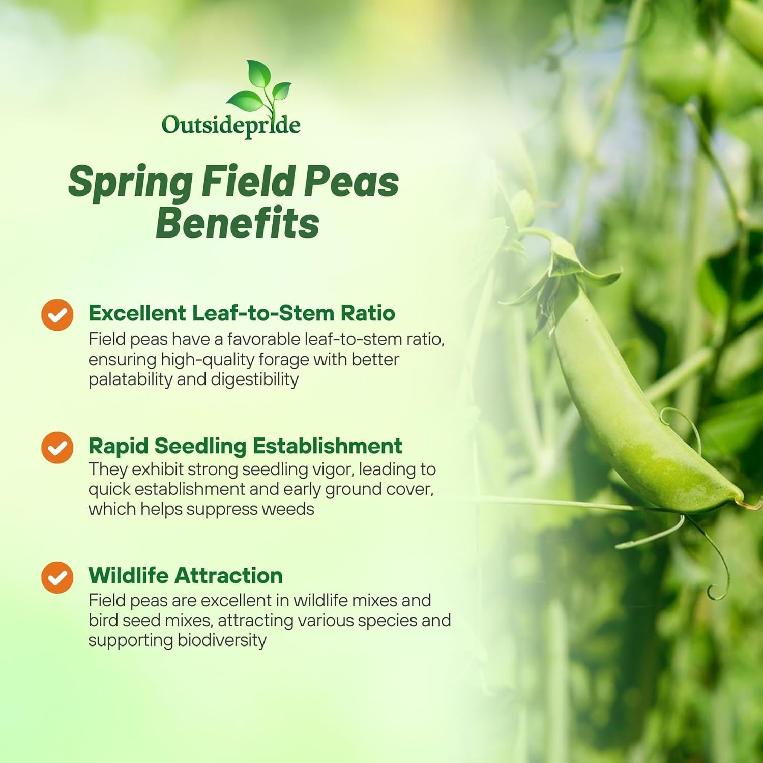 1 LB Field peas for cover crops and food plots