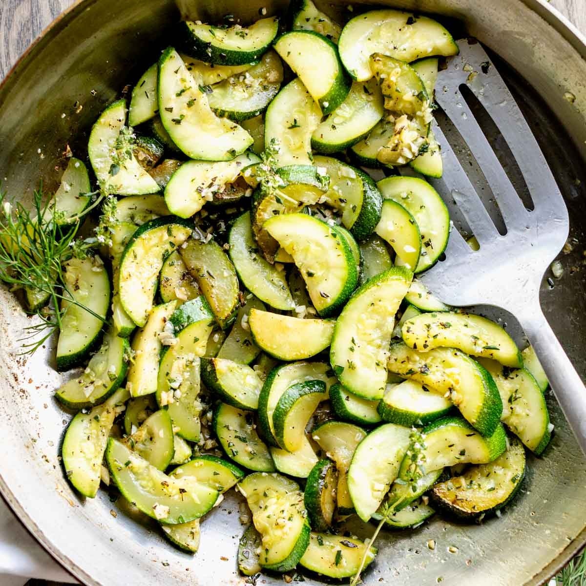 2 Green Zucchini Plants in 4″ Pot, Vegetable GARDEN planting NON-GMO