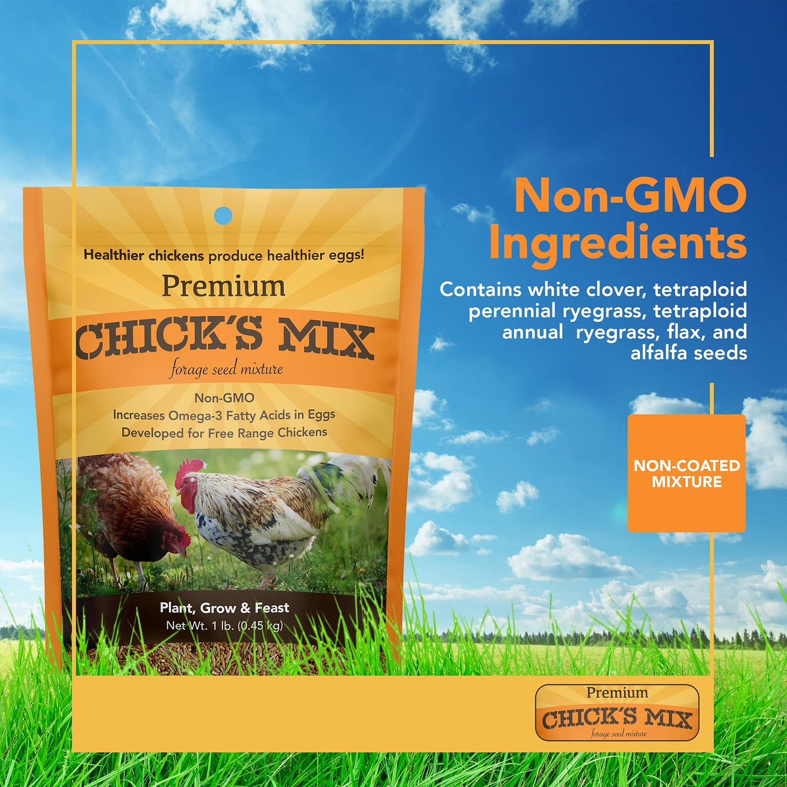 Forage Seed Mix For Chickens Poultry Goats Sheep Omega 3 Eggs 1 lb Non GMO