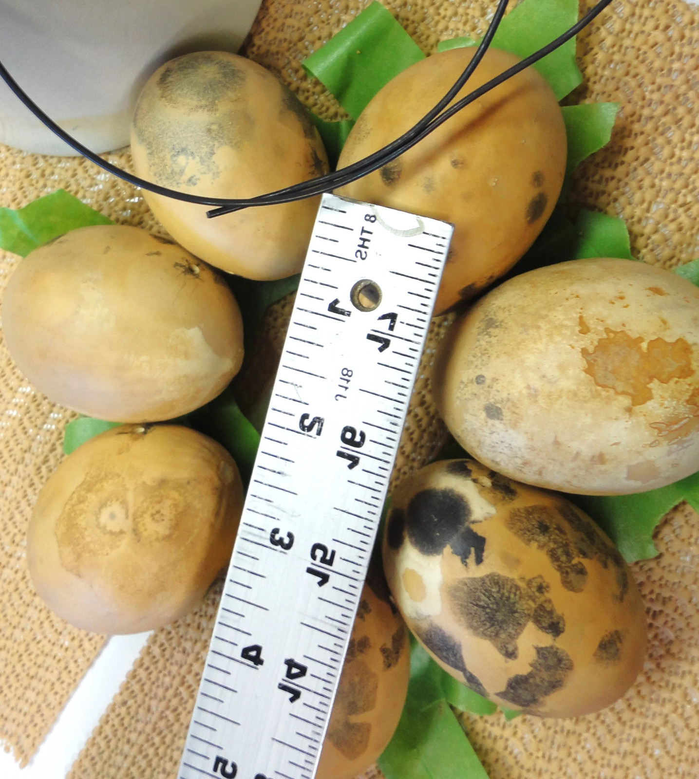 Ozark Nest Egg Ornamental Gourd Seeds – For 2025 Planting Dragon Eggs Cucumber