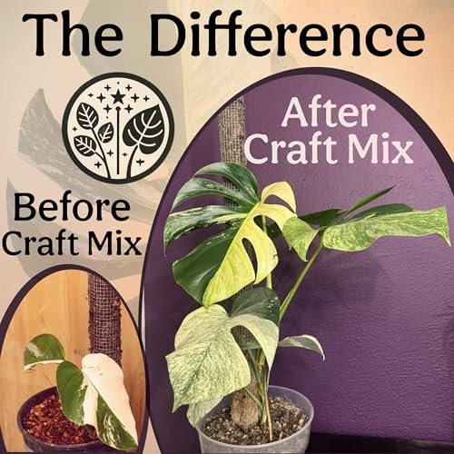 Organic Potting Mix for Alocasia, Philodendron, Monstera – Well Draining Soil, 4