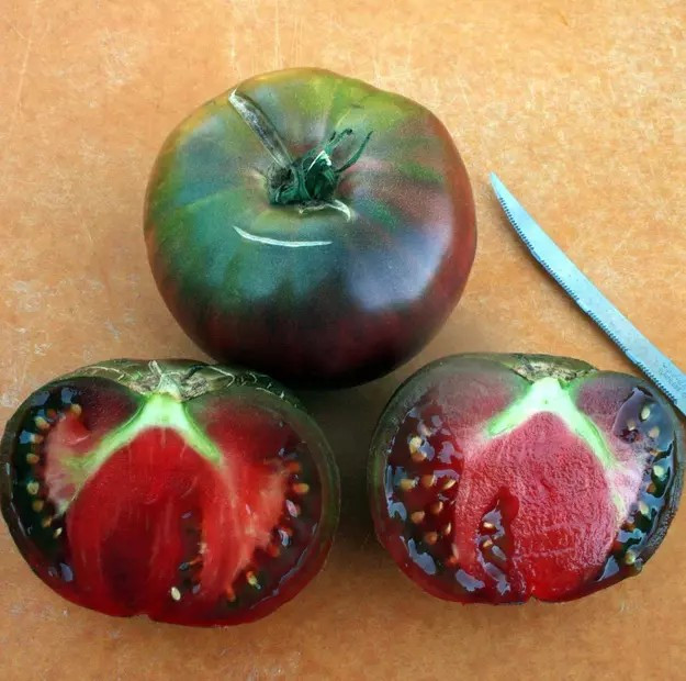 120+ Black From Tula Tomato Seeds ——— Heirloom — Organic ———– RARE
