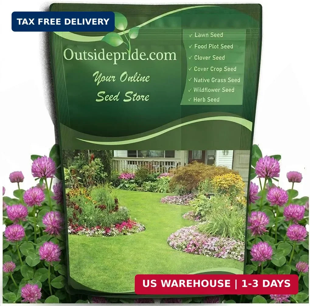 Outsidepride Perennial Red Clover Seeds – 5 lbs. Self-Seeding, Nitrocoated, Inoc