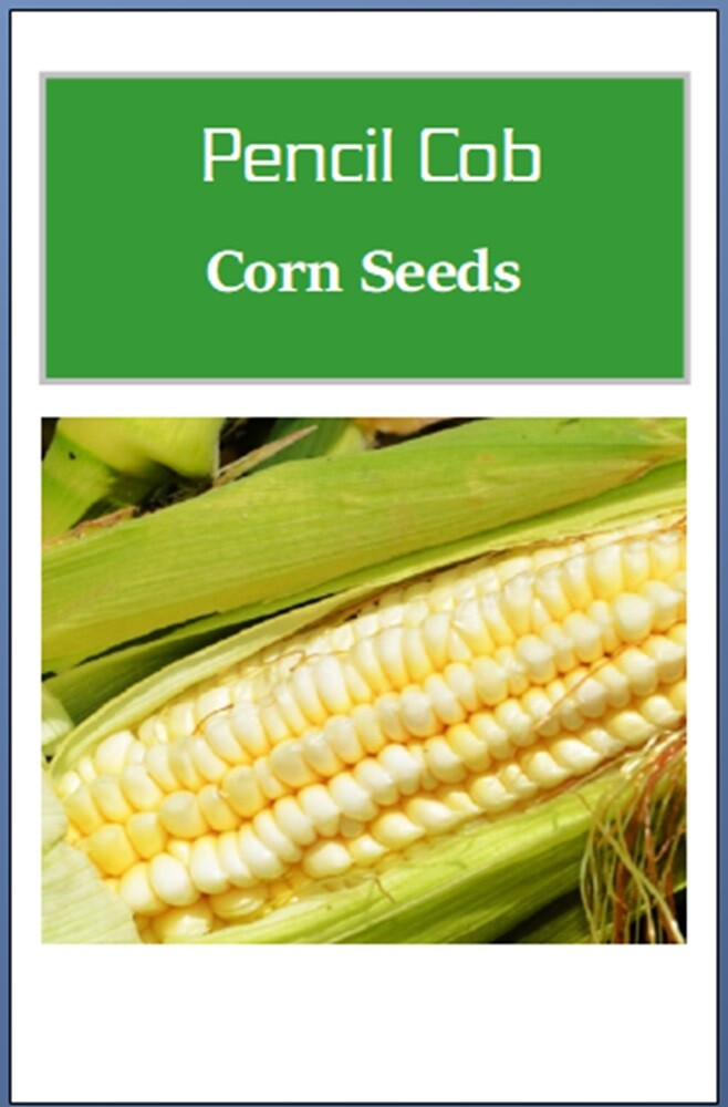 Pencil Cob Corn Seeds | Heirloom | Fresh Garden Seeds