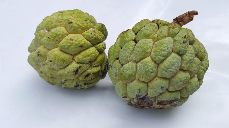Sugar Apple, Custard Apple Tree Seeds