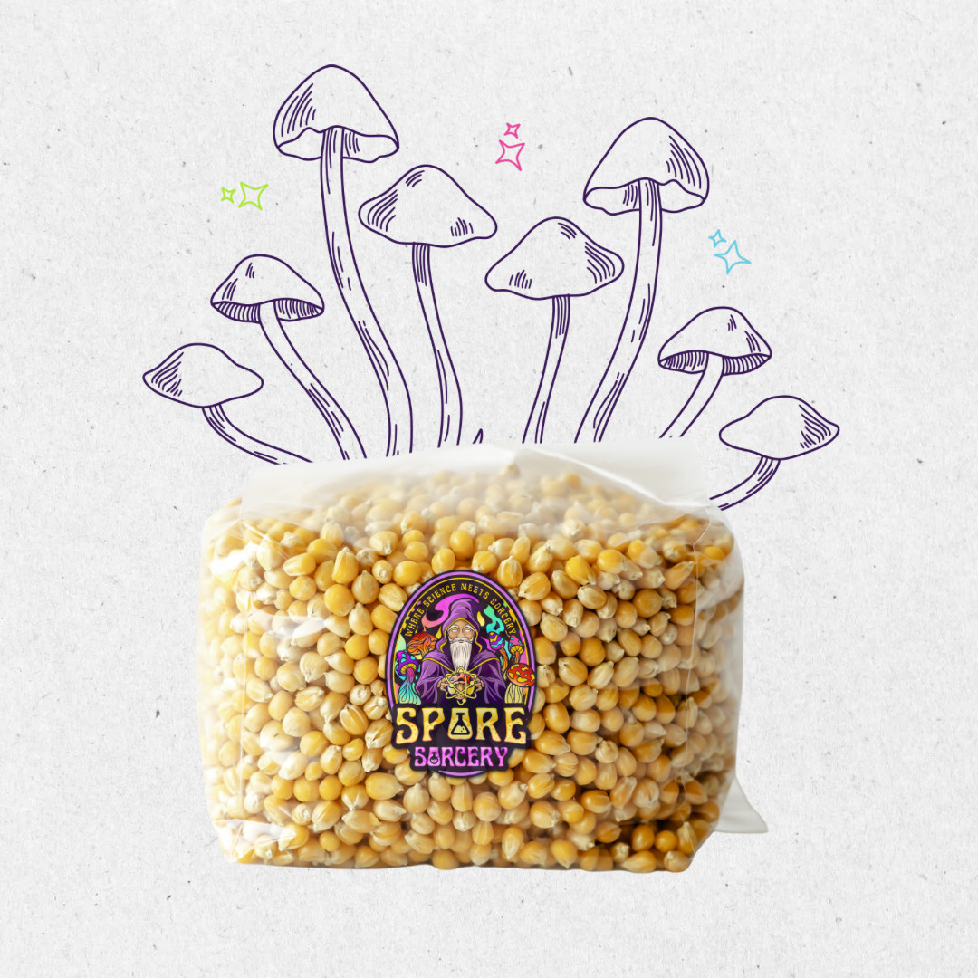 6 Pack | 3lb Drippy Corn Grain Spawn