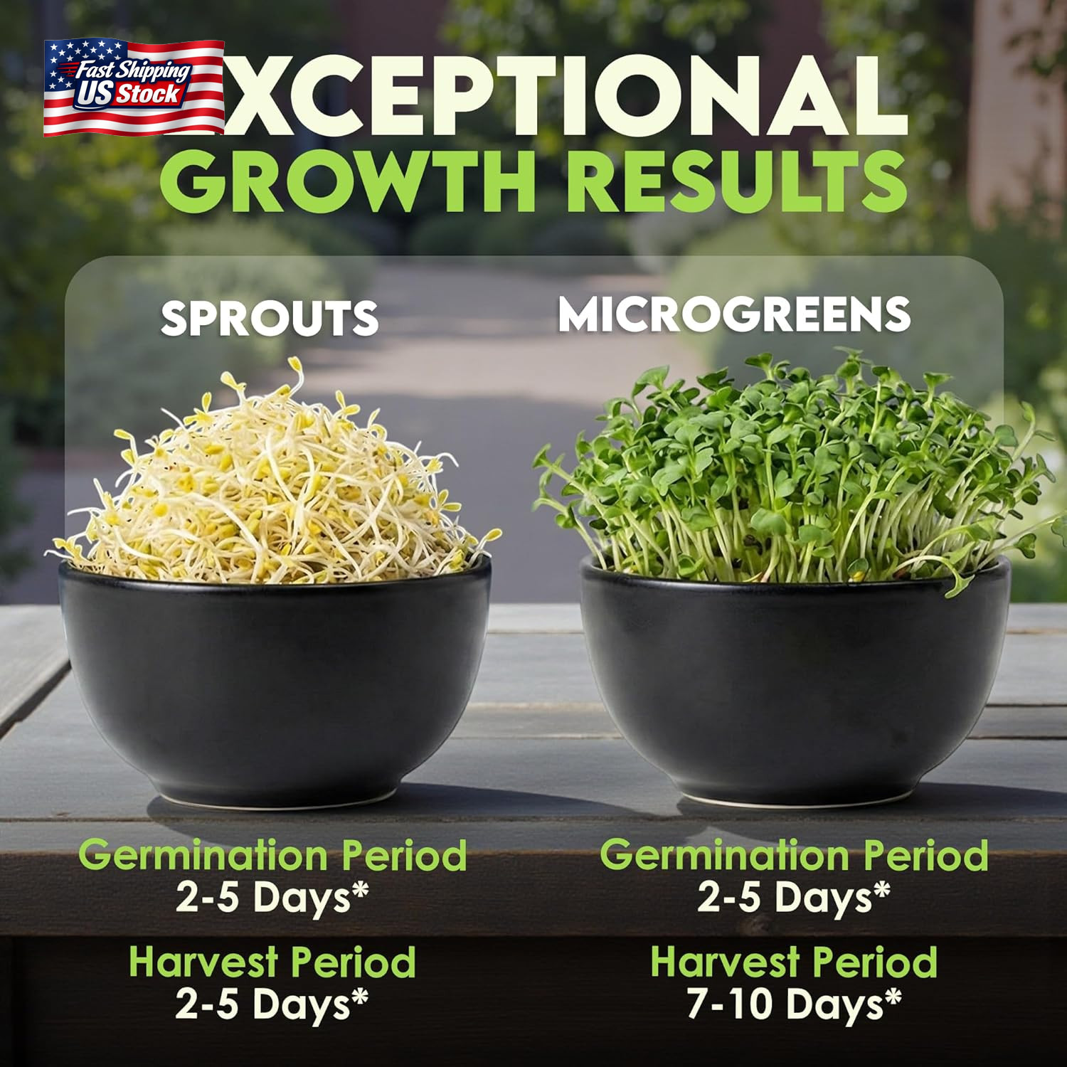 Nature Jims Sprouts Alfalfa Seeds – Non-Gmo Organic Sprout for Growing & Plantin
