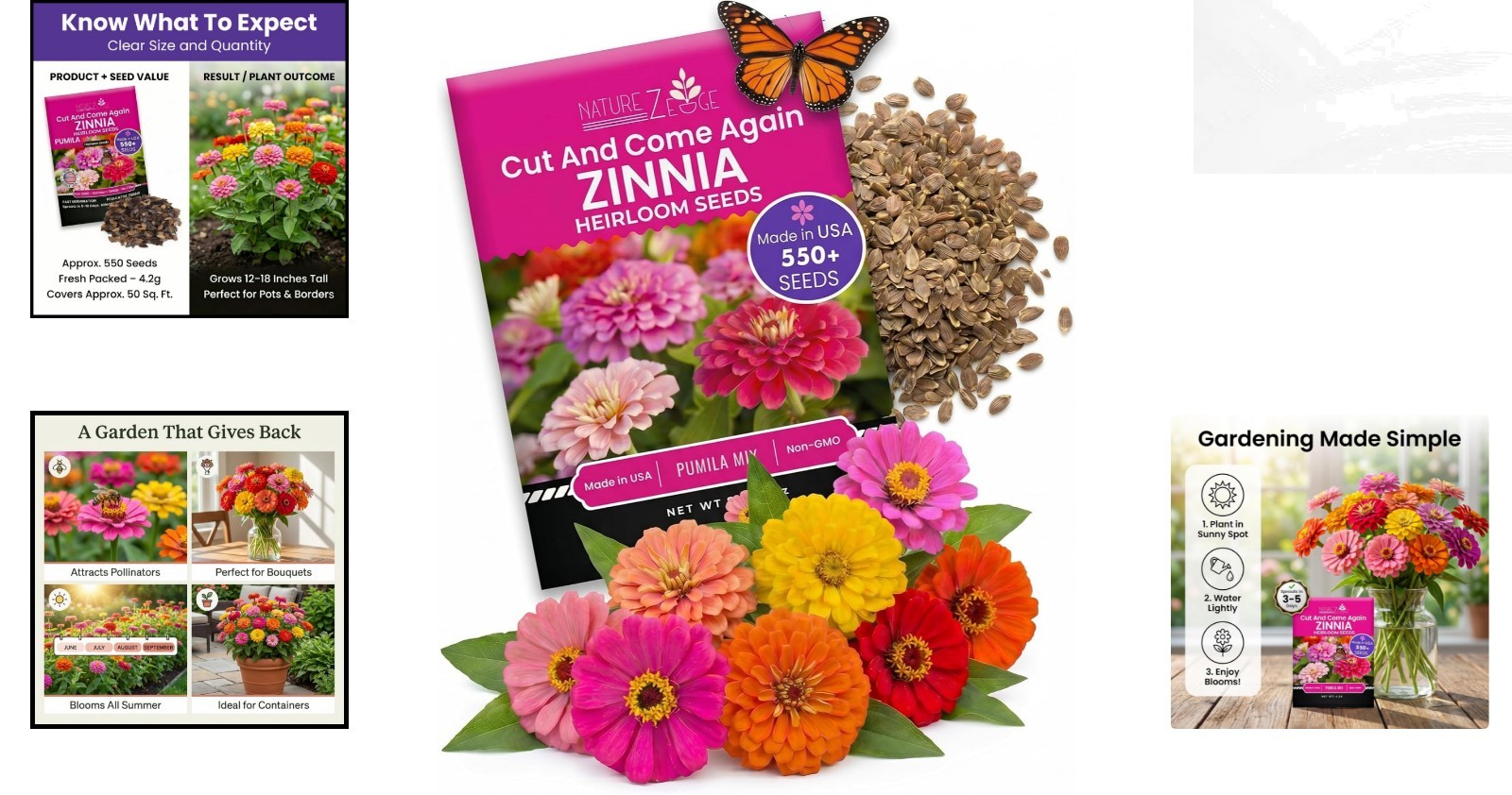 Colorful Zinnia Seeds – GMO-Free, High Germination Rate, Easy Planting Mix