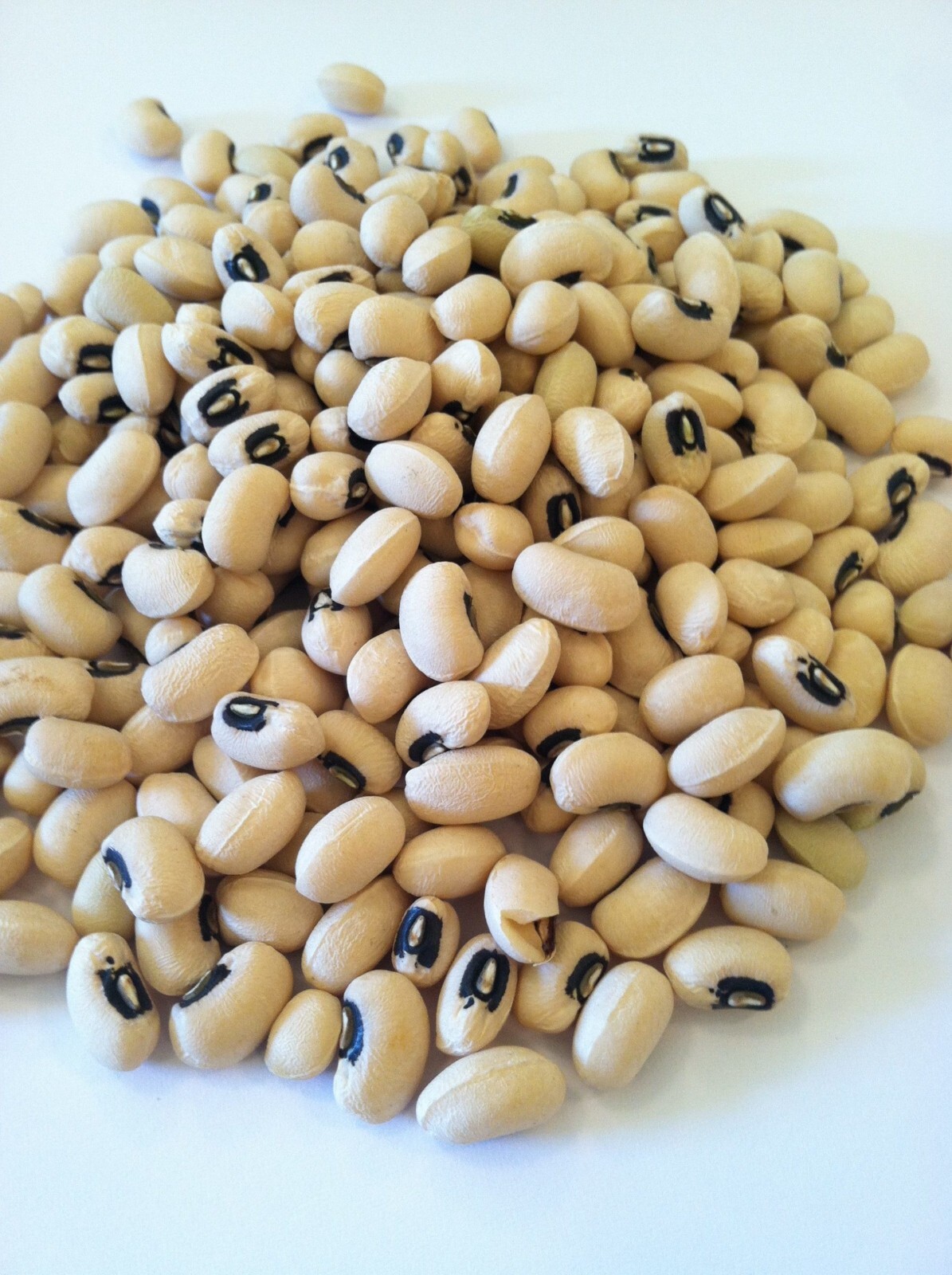 250 Black Eyed Peas Seeds, Frijol Carita, NON-GMO, garden , bean seed, lobia