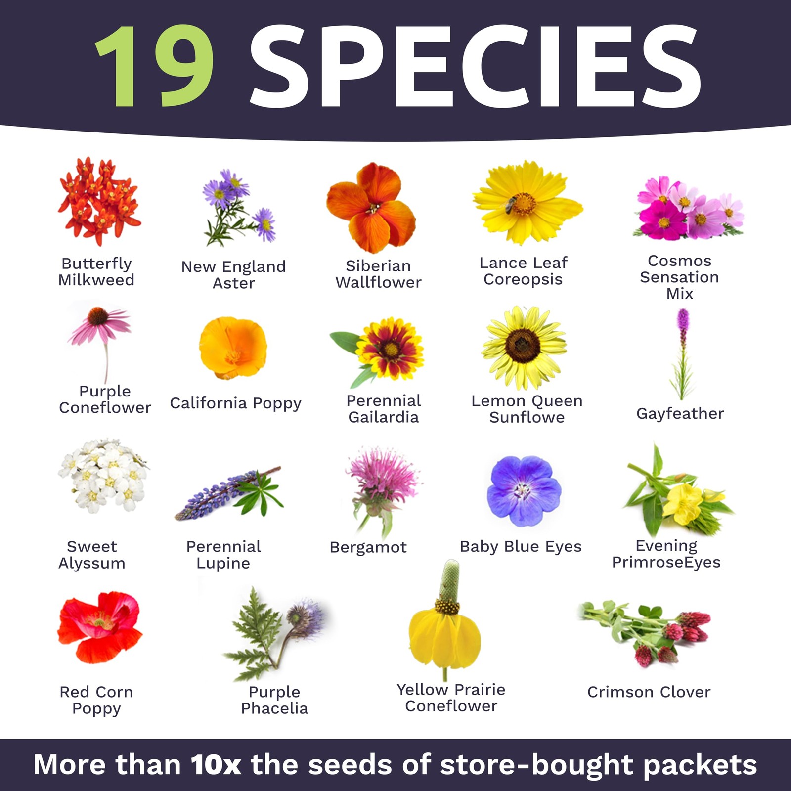 Wildflower Seed Mix Bulk 1 Ounce Packet 7500 Open Pollinated For Bees Butterflie