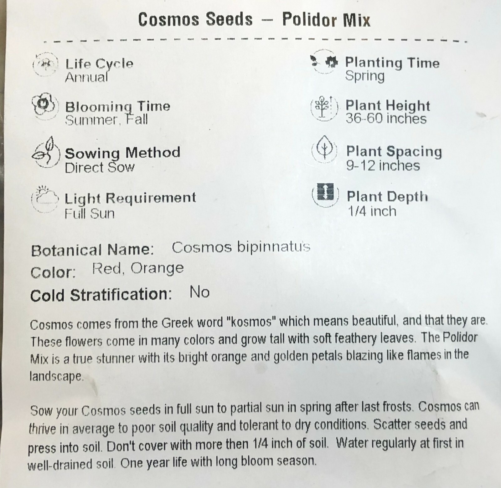 Cosmos POLIDOR Mix Citrus Shades Mother Nature’s Seeds Non-GMO 100 Seeds