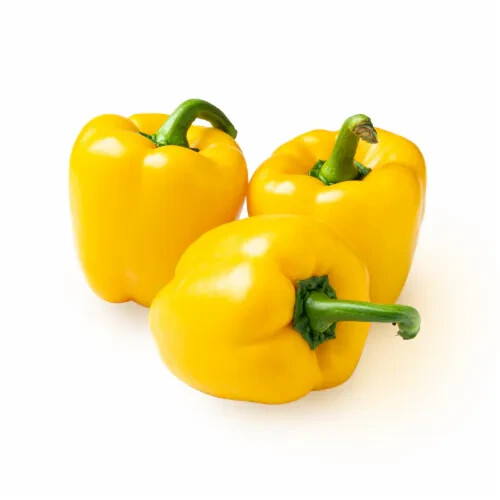 20 SUNBRIGHT SWEET BELL PEPPER SEEDS ~ 2026 ~ heirloomseedguy ~ USA