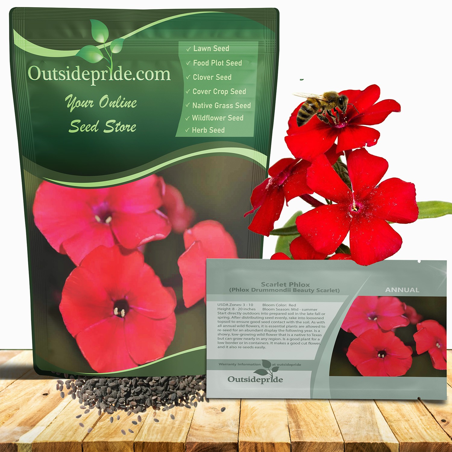 5000 Seeds Scarlet Phlox Seed For Planting – Annual Red Phlox Wildflower Seeds