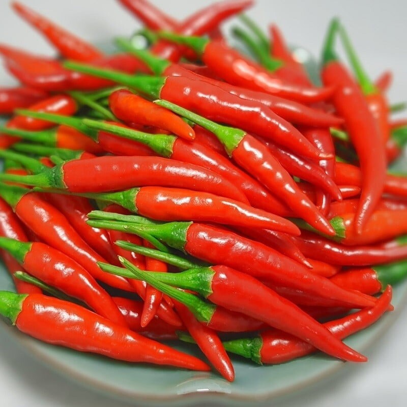 100 + Thai red chili Hot Pepper Organic Seeds – ot sung