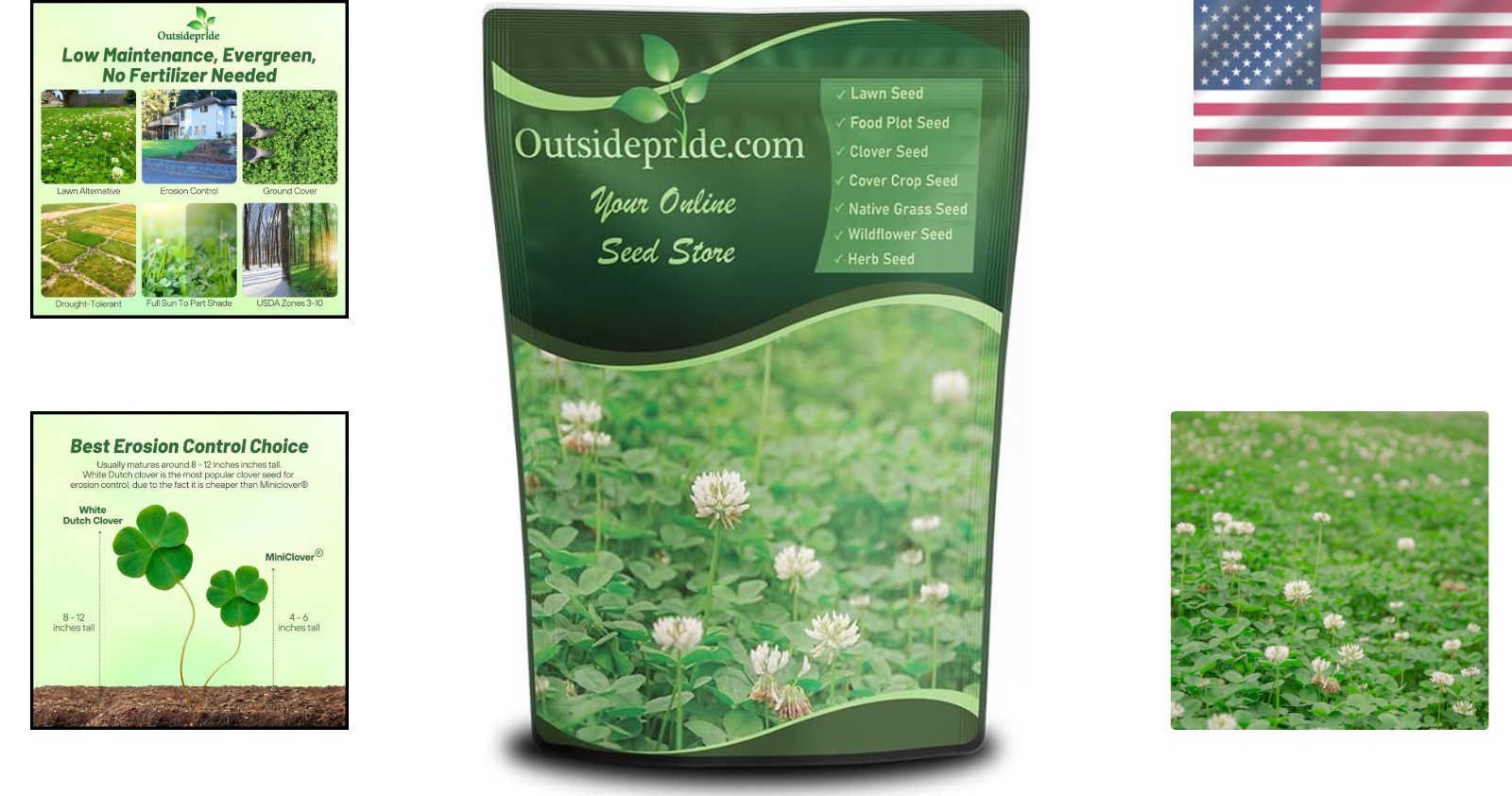 Beautiful 1/4 lb White Clover Seeds – Erosion Control & Attractive Ground Cover