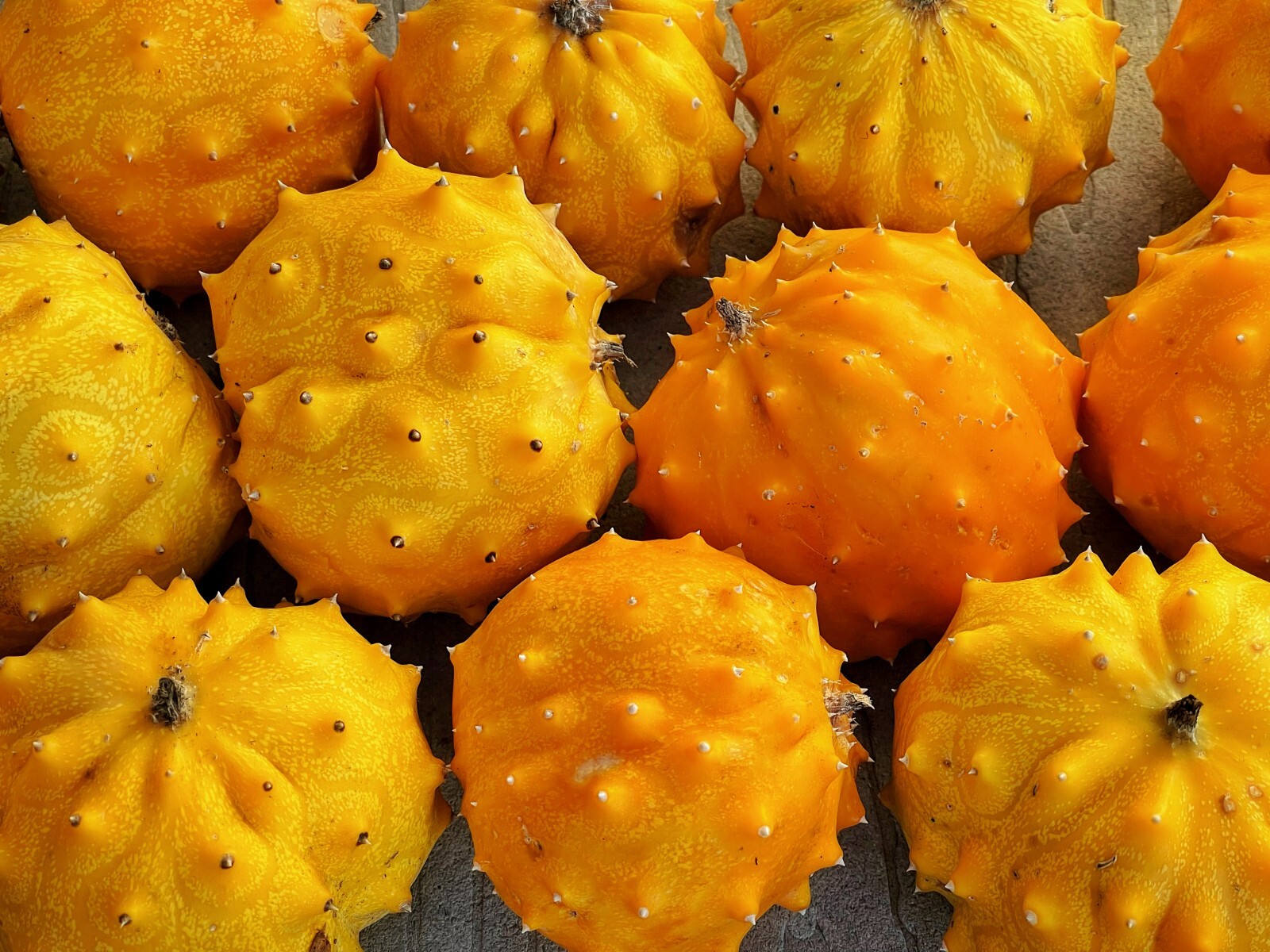50+ Kiwano Rund Horned Melon Seeds Exotic Vine and Melon US seller Free ship