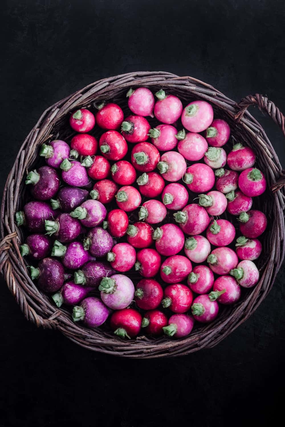 Crayon Colors Mix Radish Seeds | USA Garden Vegetable Rainbow Radishes Seed 2024