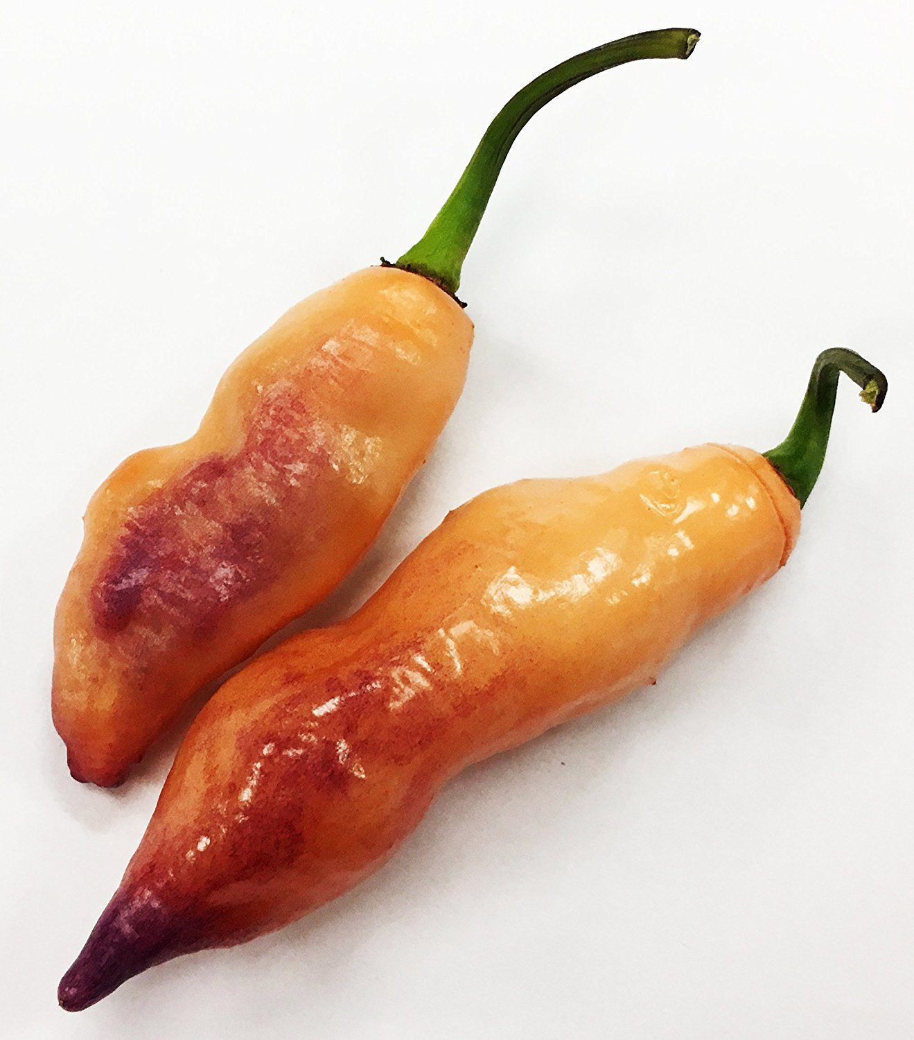 Pink Tiger Pepper Premium Seed Packet
