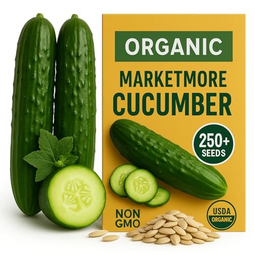 250+ Organic Marketmore Cucumber Seeds – 250 Seeds Marketmore Cucumber Antique