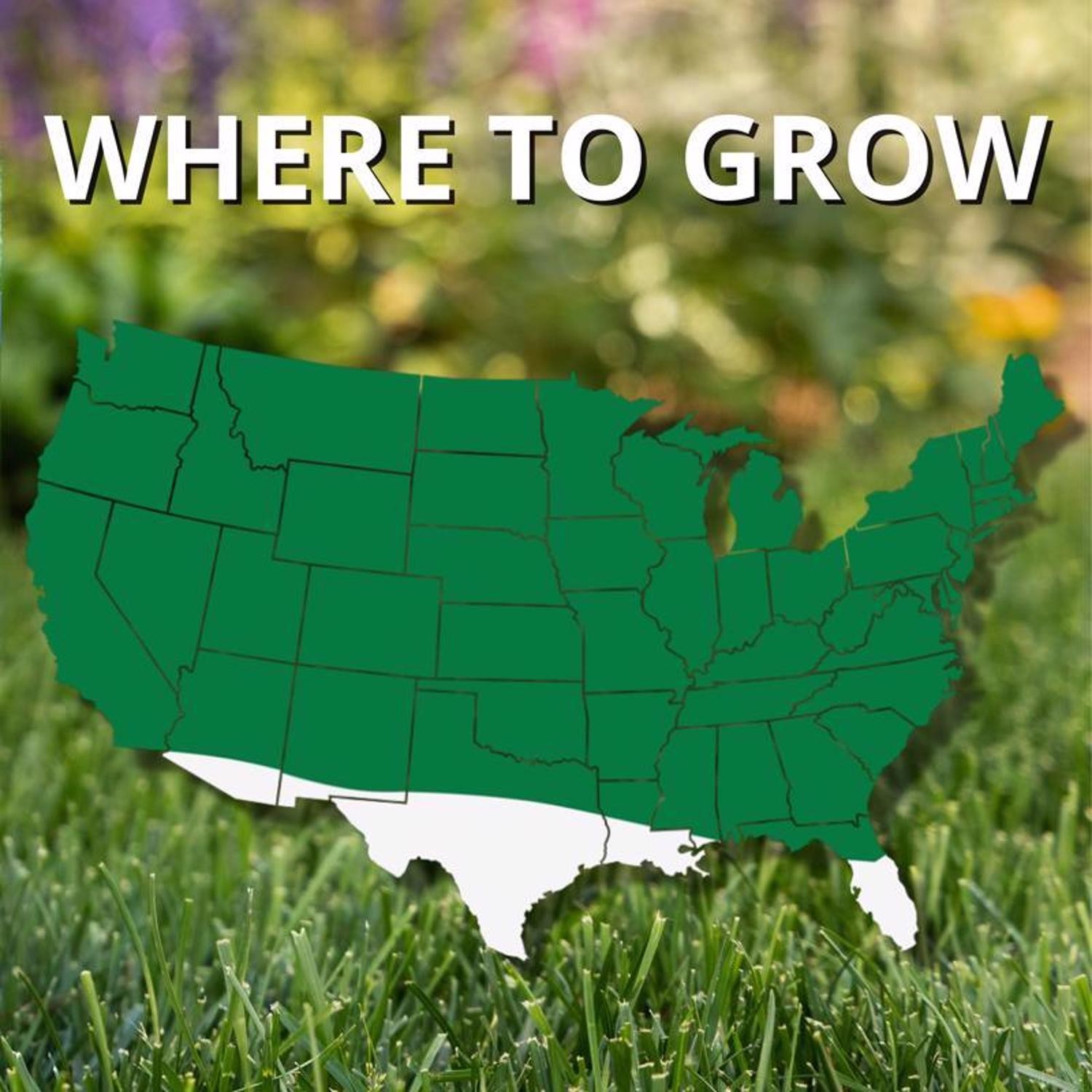Jonathan Green 12120 Touch-Up Tri-Rye Perennial Ryegrass Grass Seed 3 Lb.