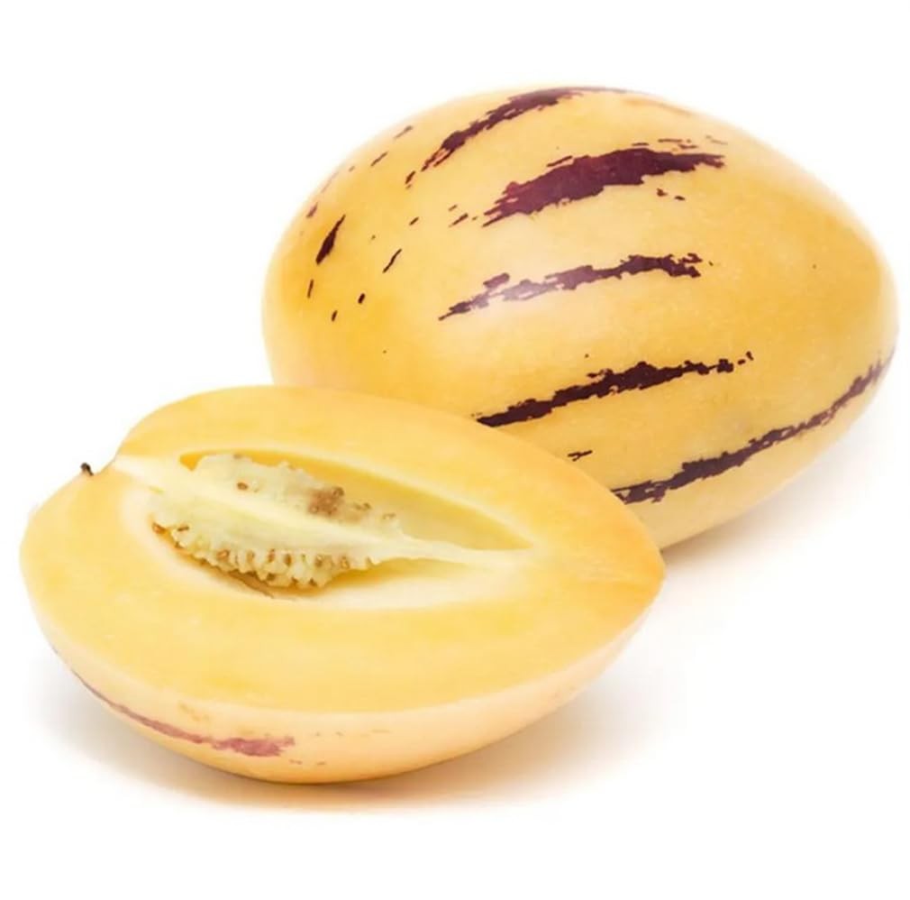 25 PCS Pepino Melon Seeds Solanum Muricatum Fruit Seeds Planting Garden Tool