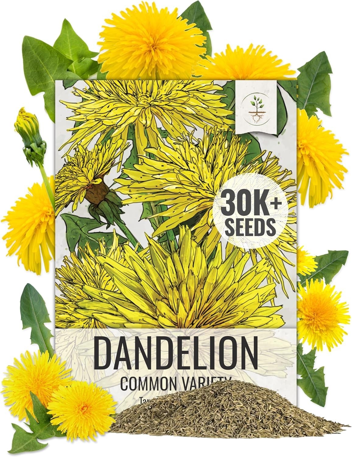 Common Dandelion Herb 30,000+ Seeds for Planting Non-GMO Heirloom & Untreated