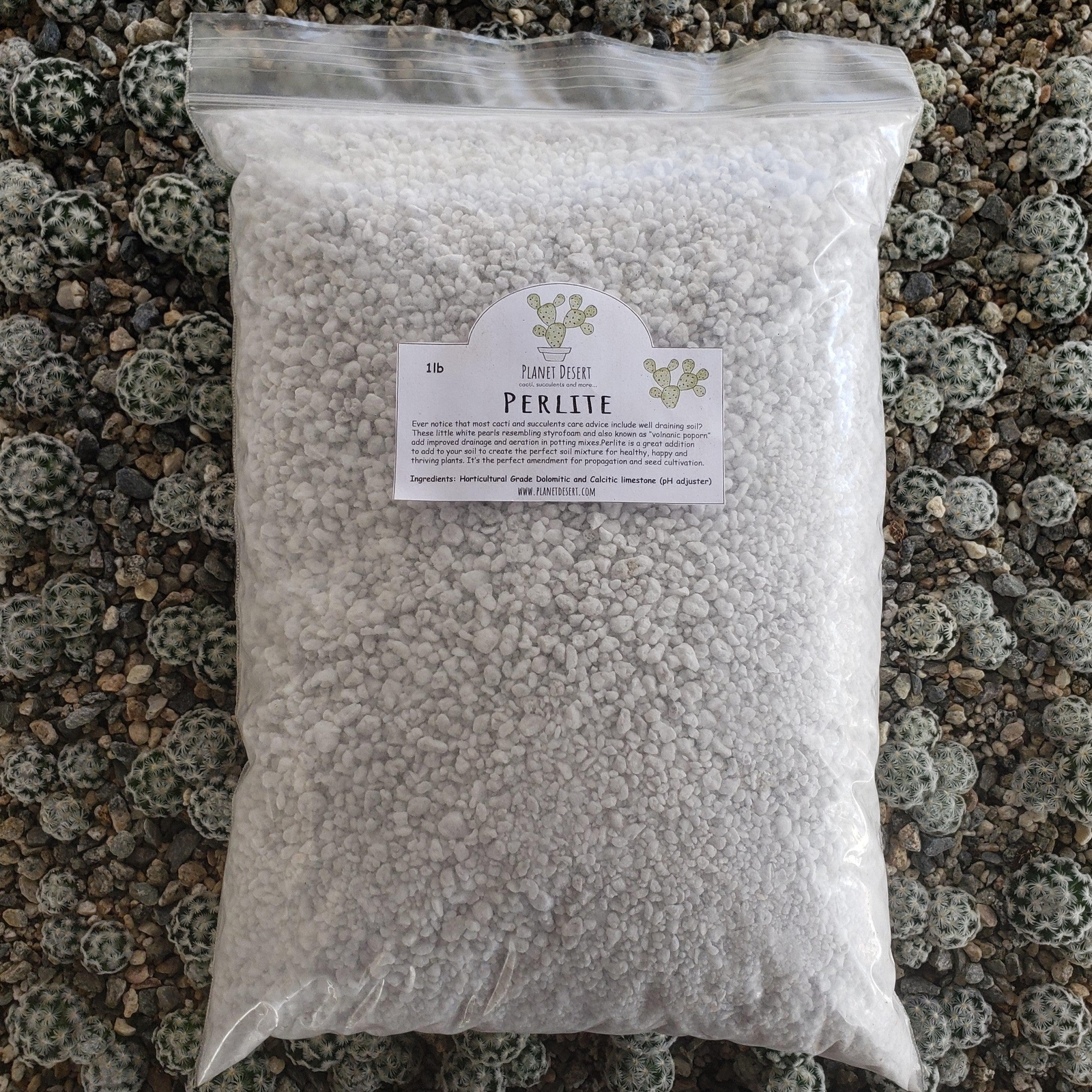 Perlite 4 Quarts porosity soil amendment for cactus and succulents cactus Cacti