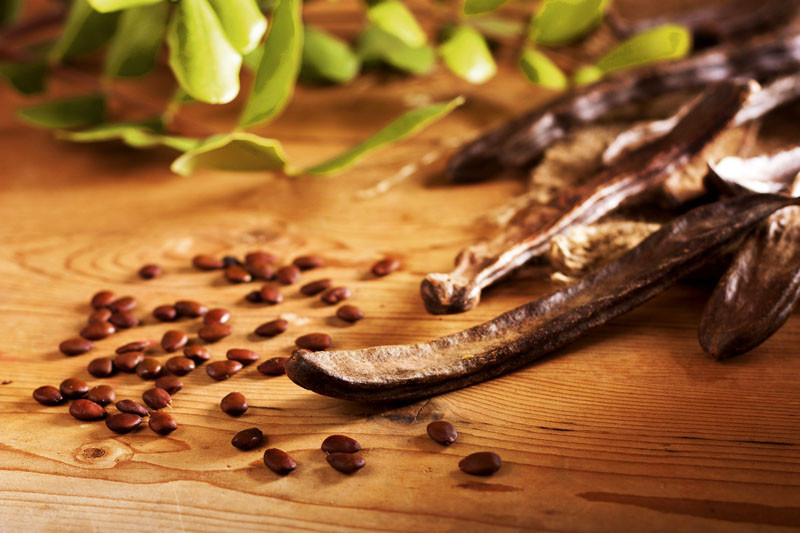 Carob Pods & Seeds, whole, wild-crafted “St. John’s bread” raw, chocolate flavor
