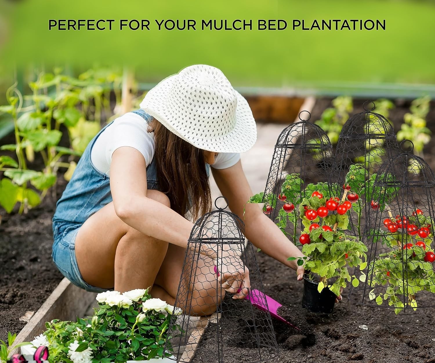 Tall Plant Protection Cloches 12″x20″ 6-Pack