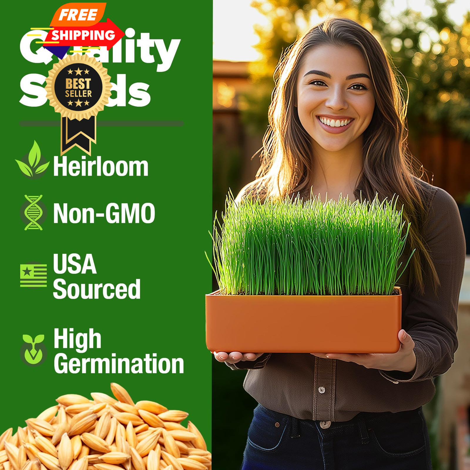 HOME GROWN Hard Red Winter Wheatgrass Seeds 12,000+ Bulk 1.5 lb 1-Pack, Multi