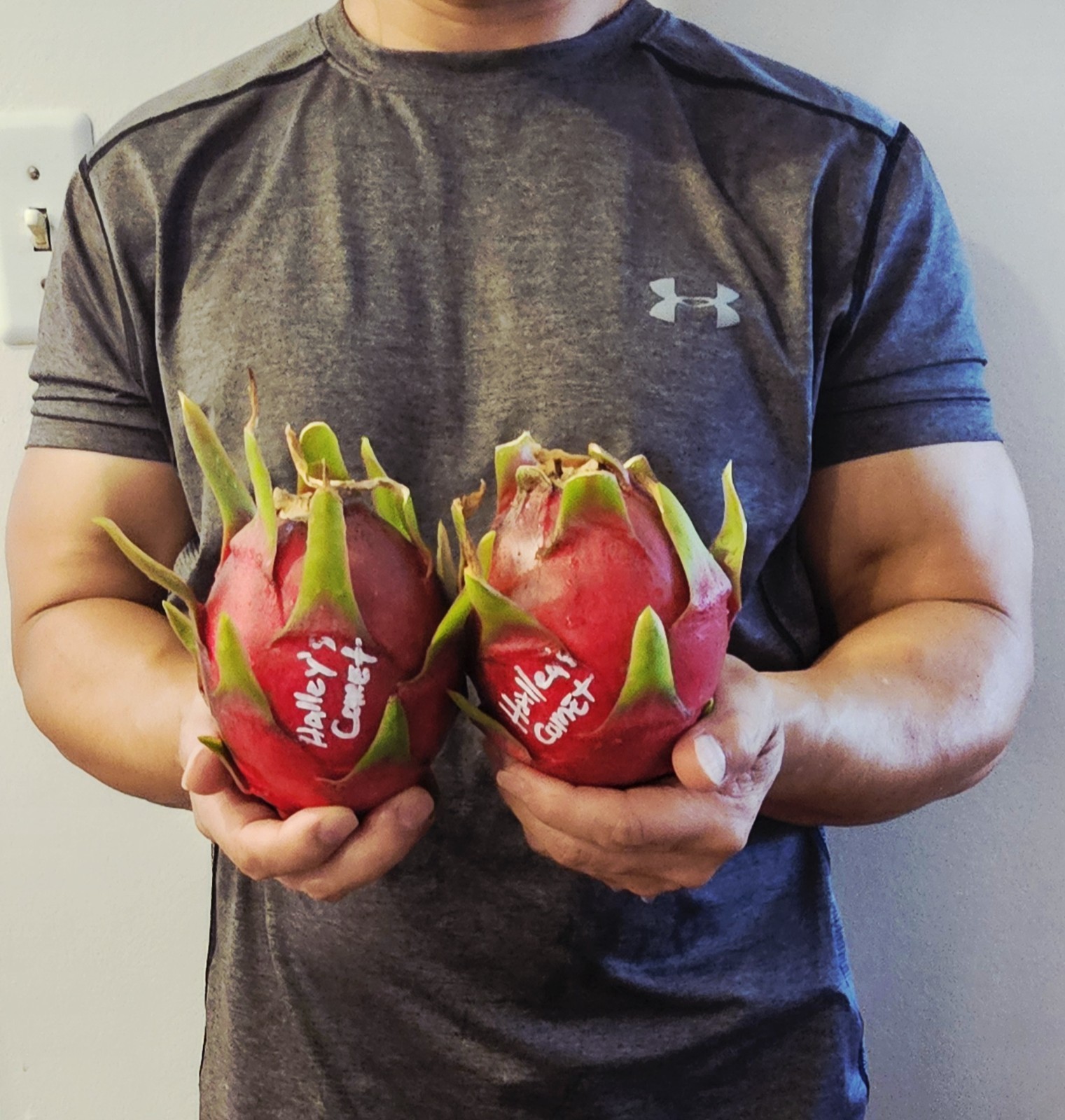 Rooted Dragon Fruit Cuttings (12 to 16 inches long) 20 Plus Varieties