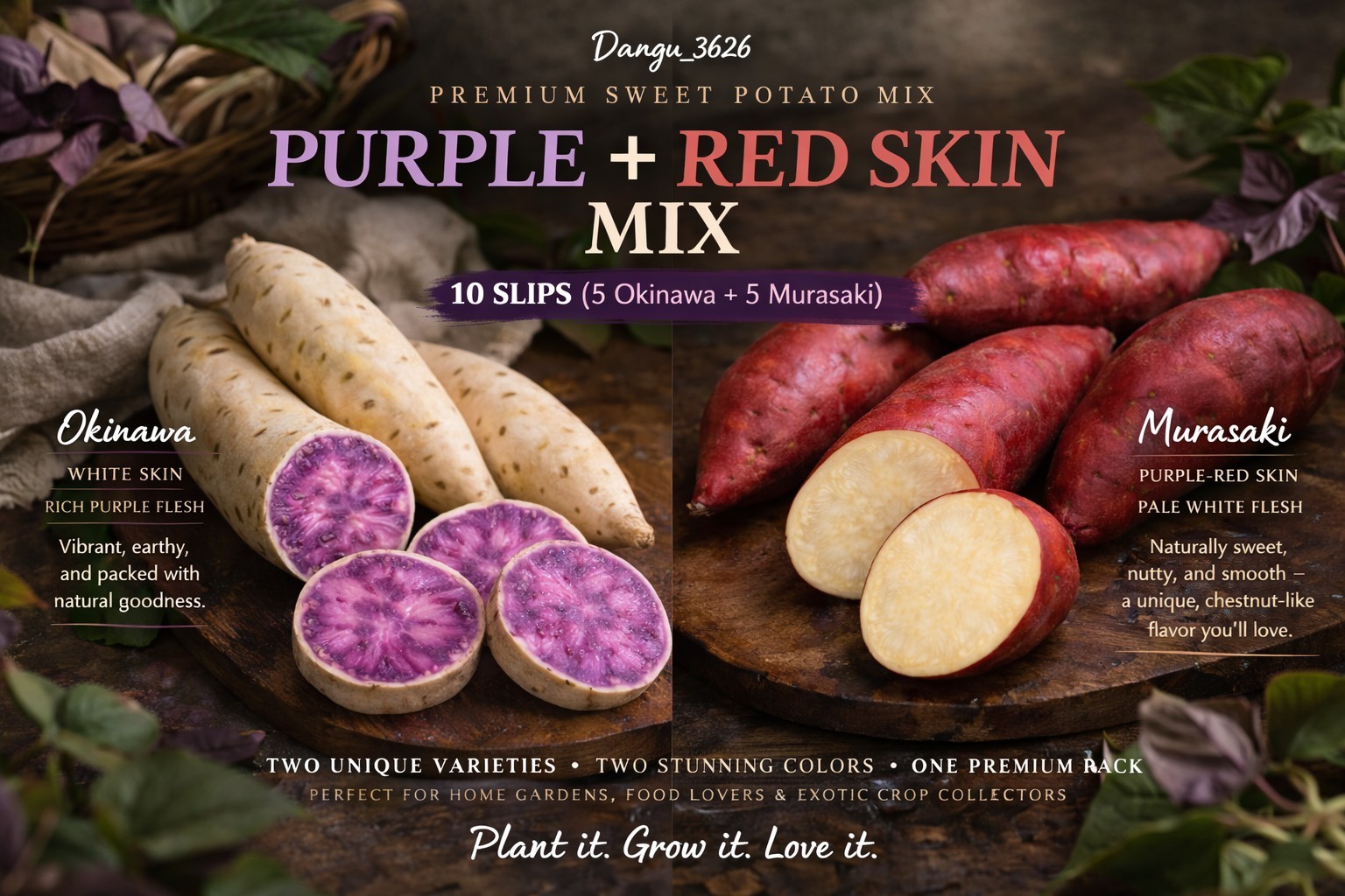 Okinawa Purple + Murasaki Sweet Potato Slips (10) Red Skin Nutty Flavor-Organic!