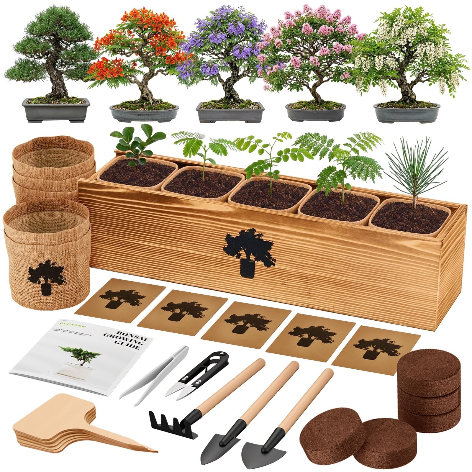 Complete Indoor Bonsai Tree Kit – 5 Unique Seeds, Tools & DIY Gardening Gift