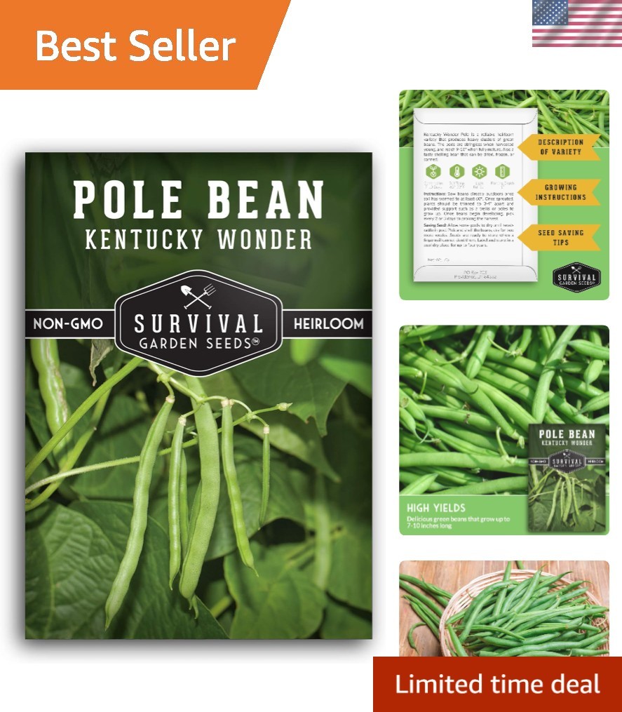 Heirloom Kentucky Wonder Pole Bean Seeds – 1 Pack of Stringless Climbing Beans