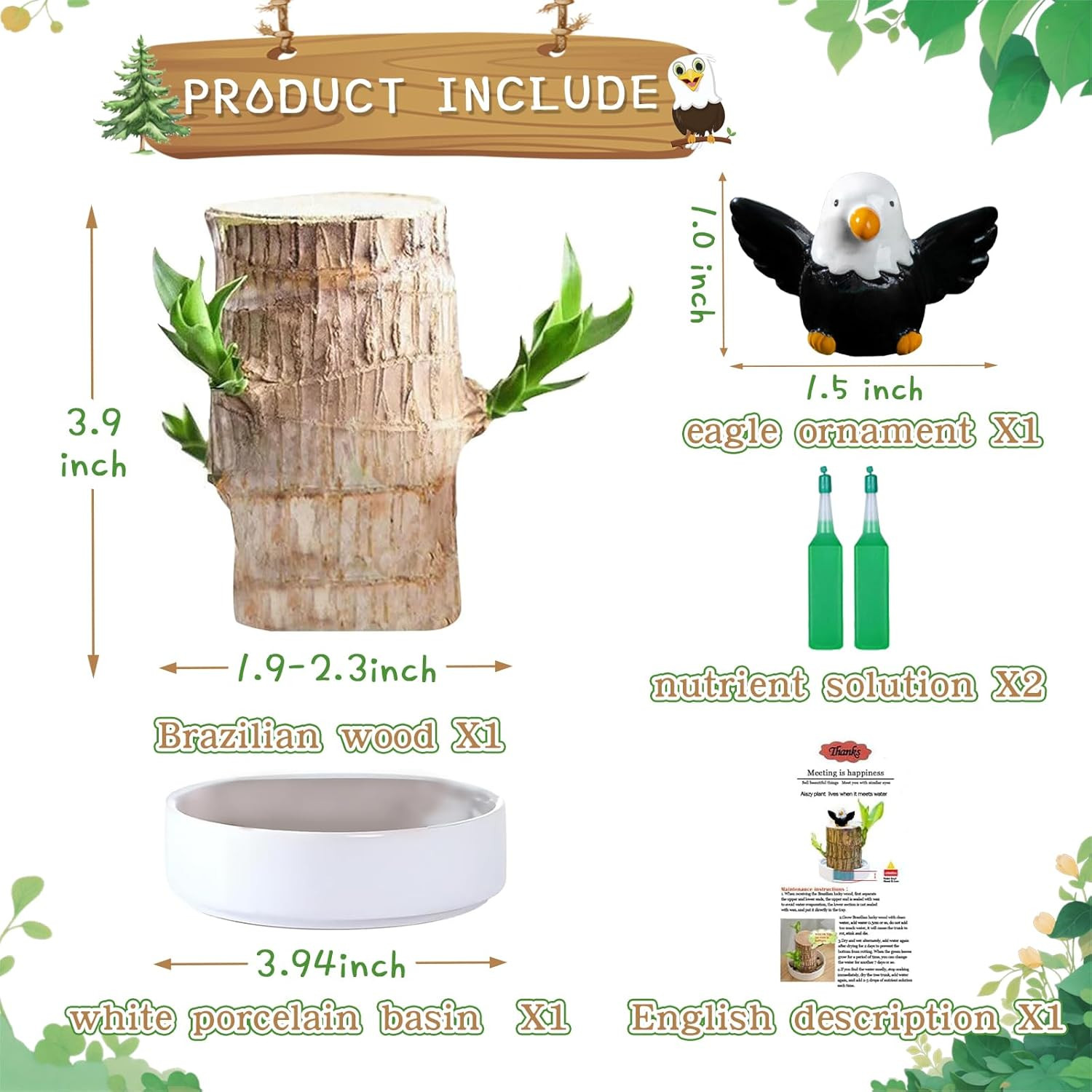 Brazilian Lucky Wood Plant,Fortune Brazil Wood Potted Plant with Eagle Figurine,