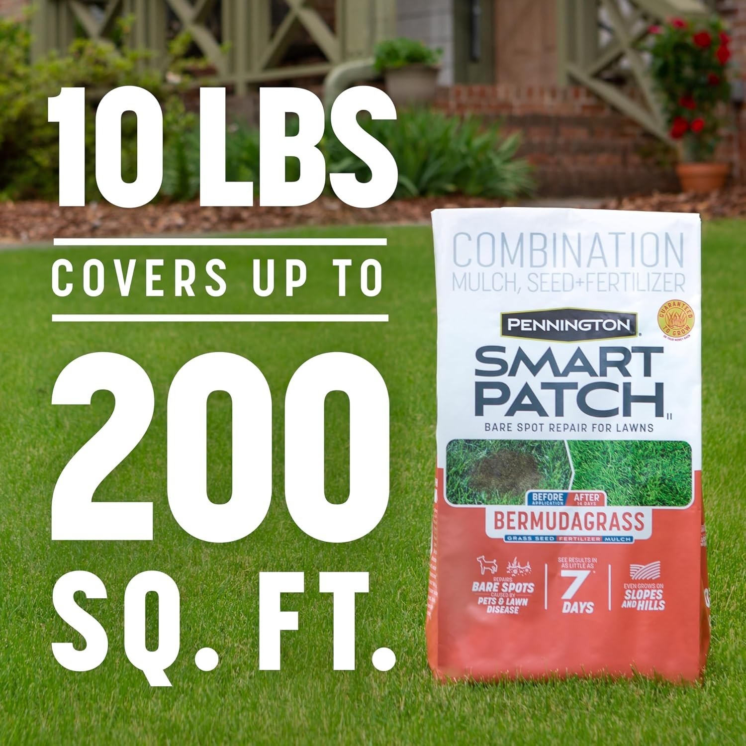 Smart Patch Bermuda Grass Seed, 10 lb – Lawn Repair Kit